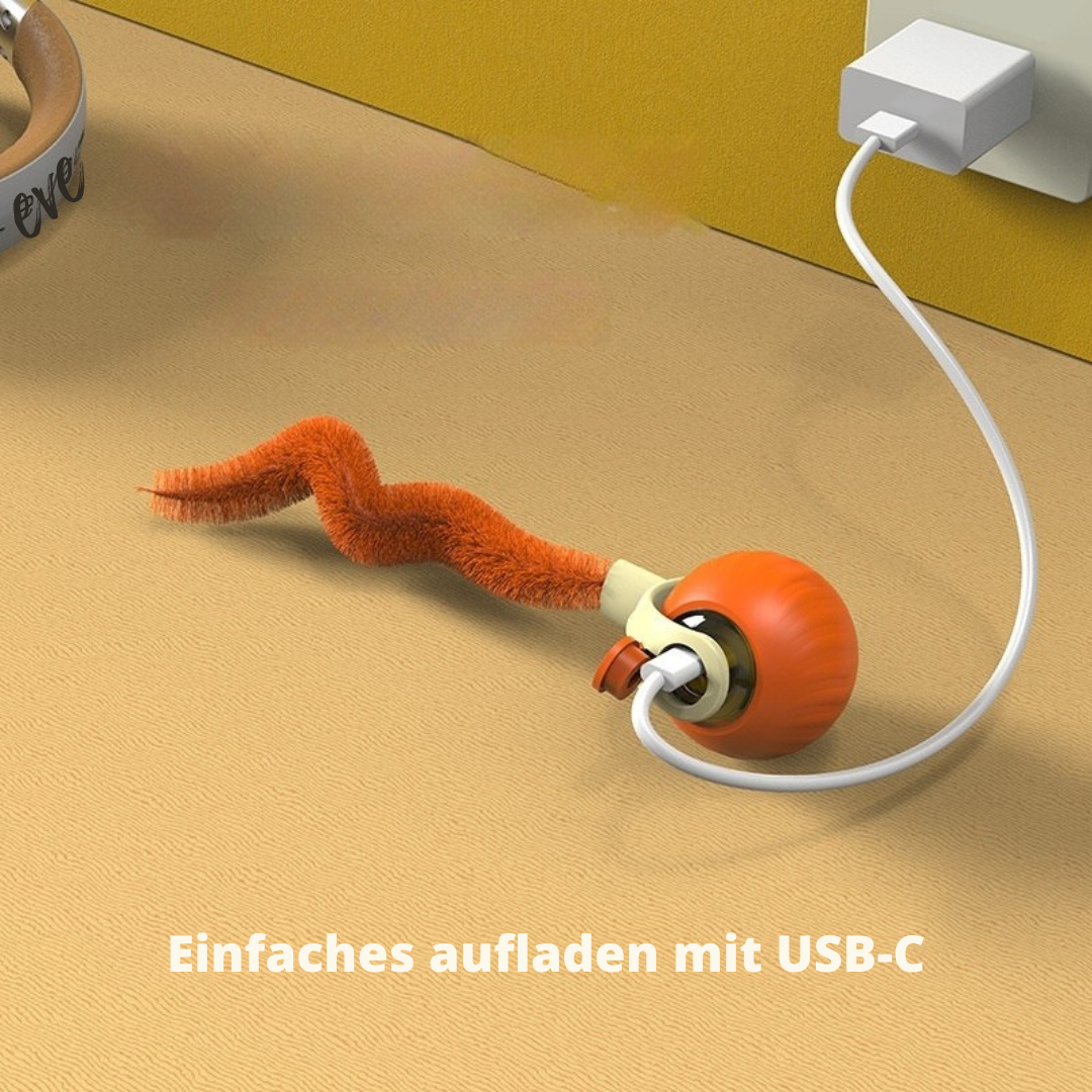 Speedy Ball 3.0 - Das Original