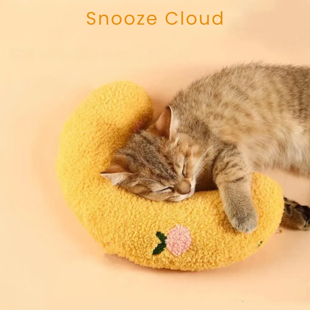 Snooze Cloud