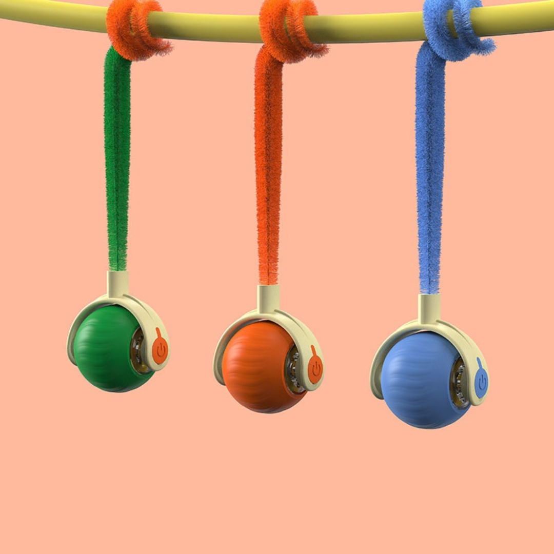 Speedy Ball 3.0 - Das Original