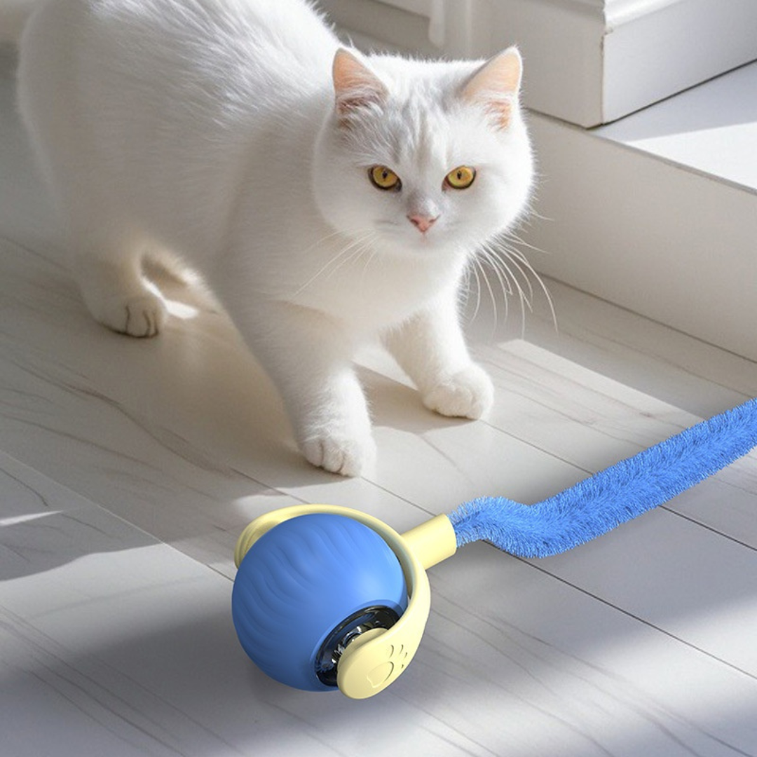 Speedy Ball 3.0 - Das Original