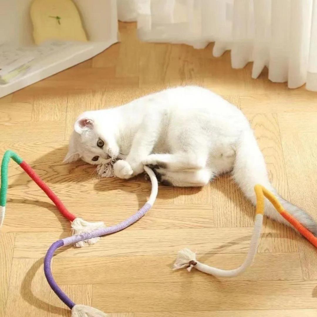 RopeFusion