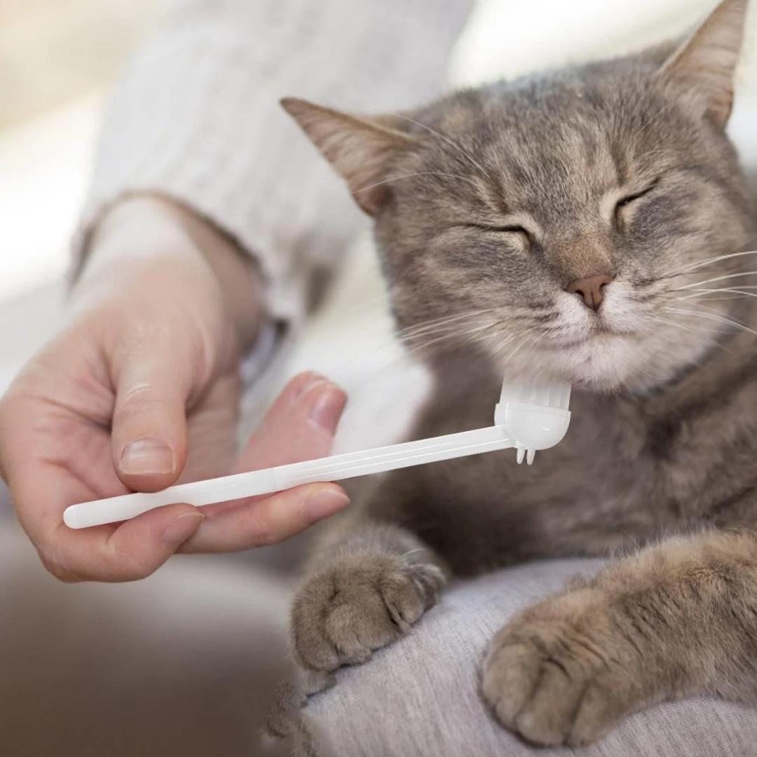 LuxuraCare - Pflege auf höchstem Niveau!