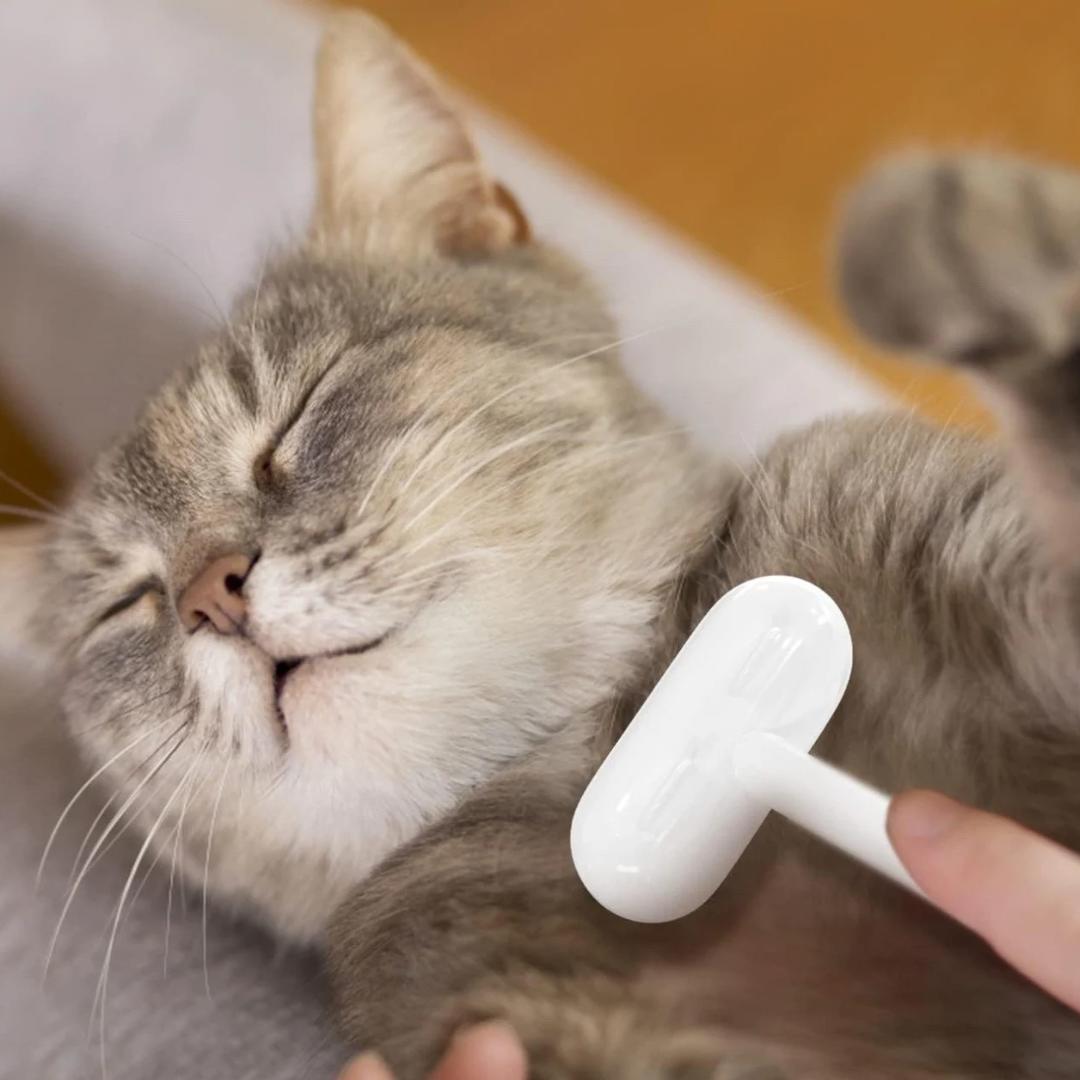 LuxuraCare - Pflege auf höchstem Niveau!