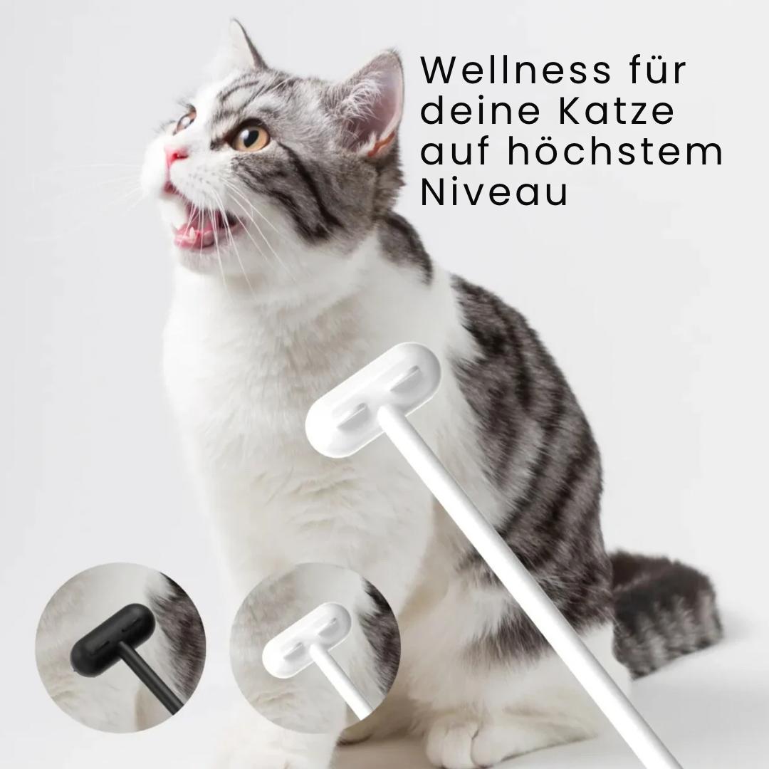 LuxuraCare - Pflege auf höchstem Niveau!