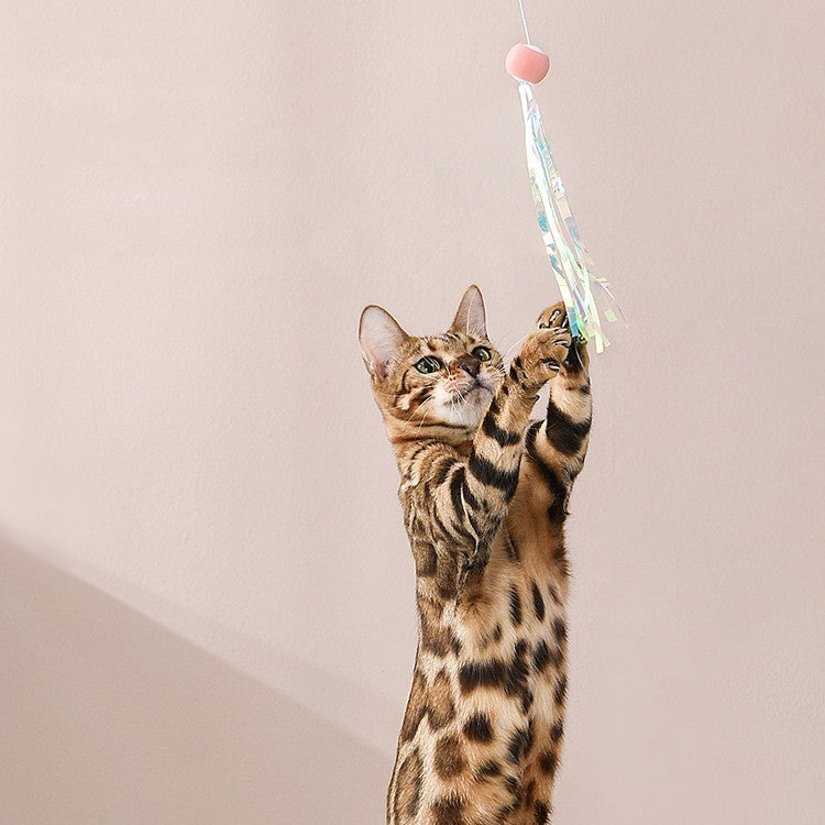 FlexiFun - SmartToy (NEU)