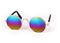 Modische Katzenbrille