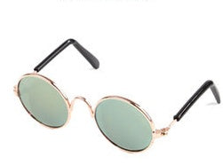Modische Katzenbrille
