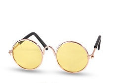 Modische Katzenbrille