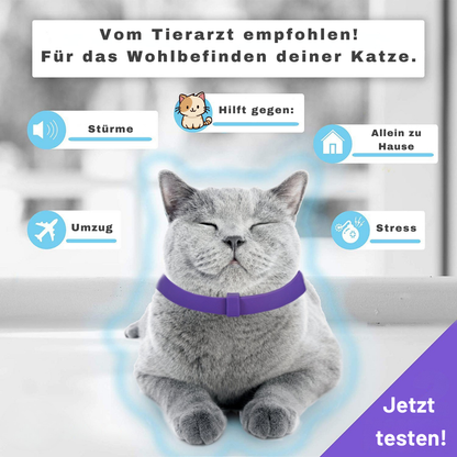 Calmify™ - Schützt deine Möbel 30 Tage lang!