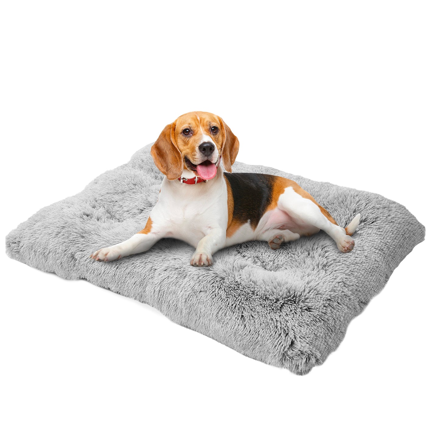 PawLux™