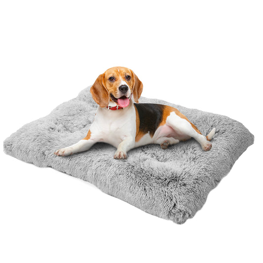 PawLux™