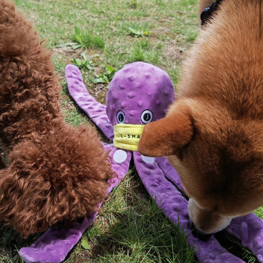 OctoFun Squeaky™ – Das 4 in 1 Spielzeug!