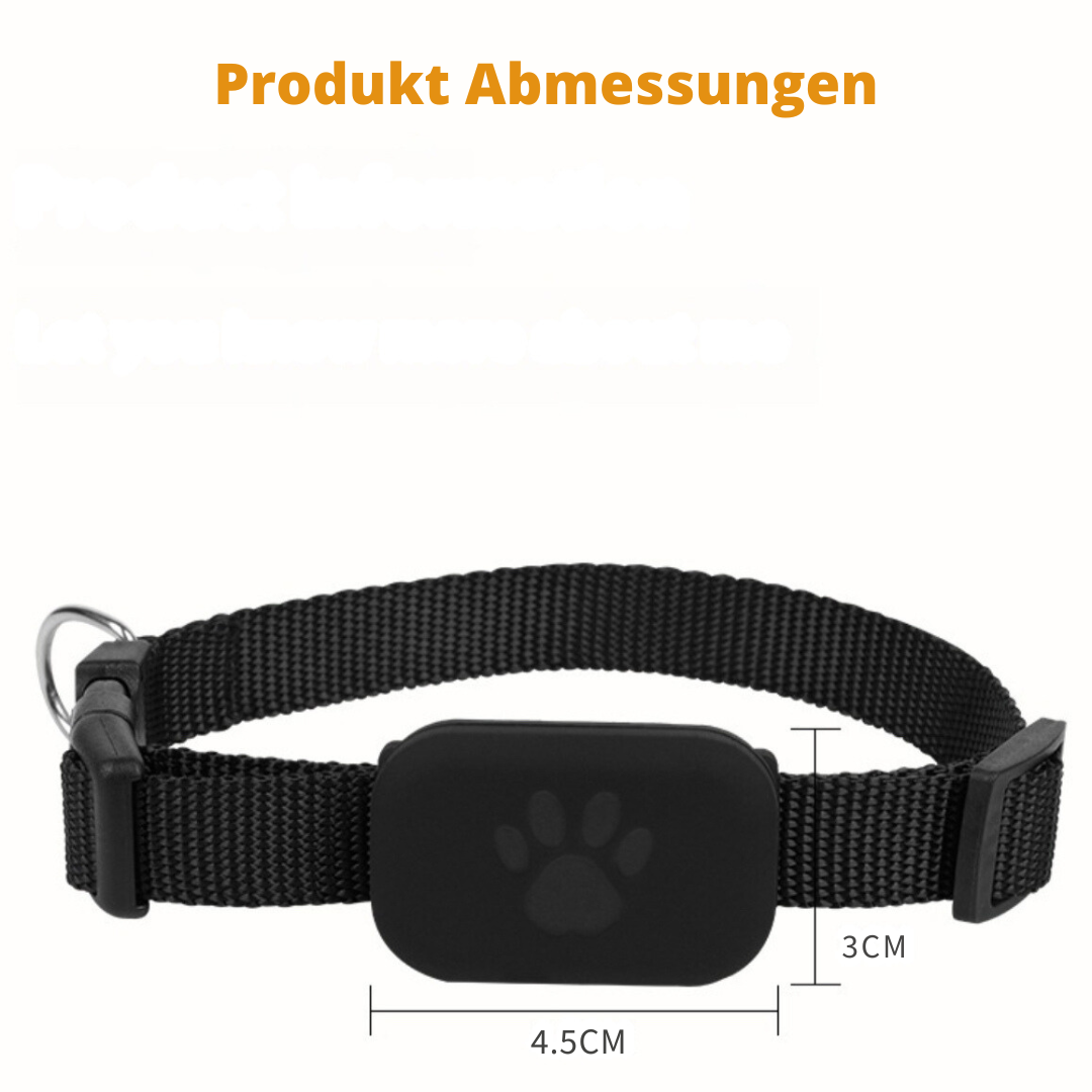 CatGuard (exklusiv für iPhone)