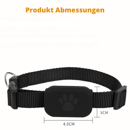 CatGuard (exklusiv für iPhone)