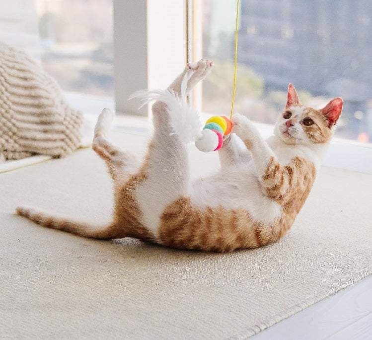 Catspire MegaSeil