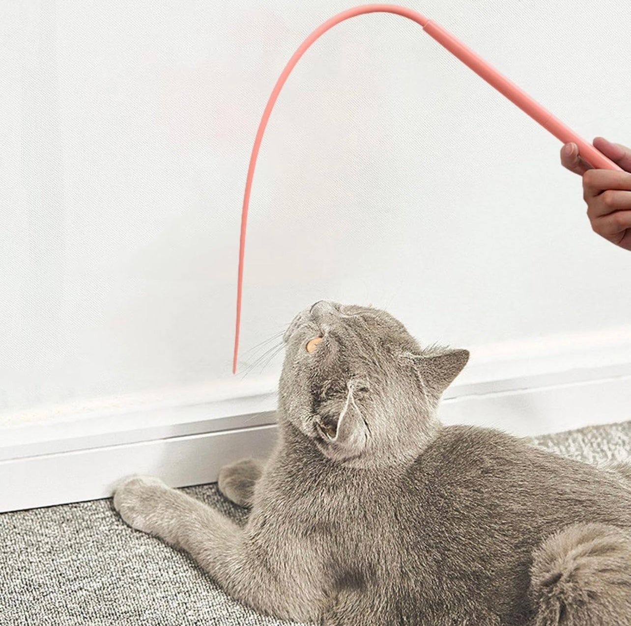 FlipTail - Täuschend echter Rattenschwanz 🐀