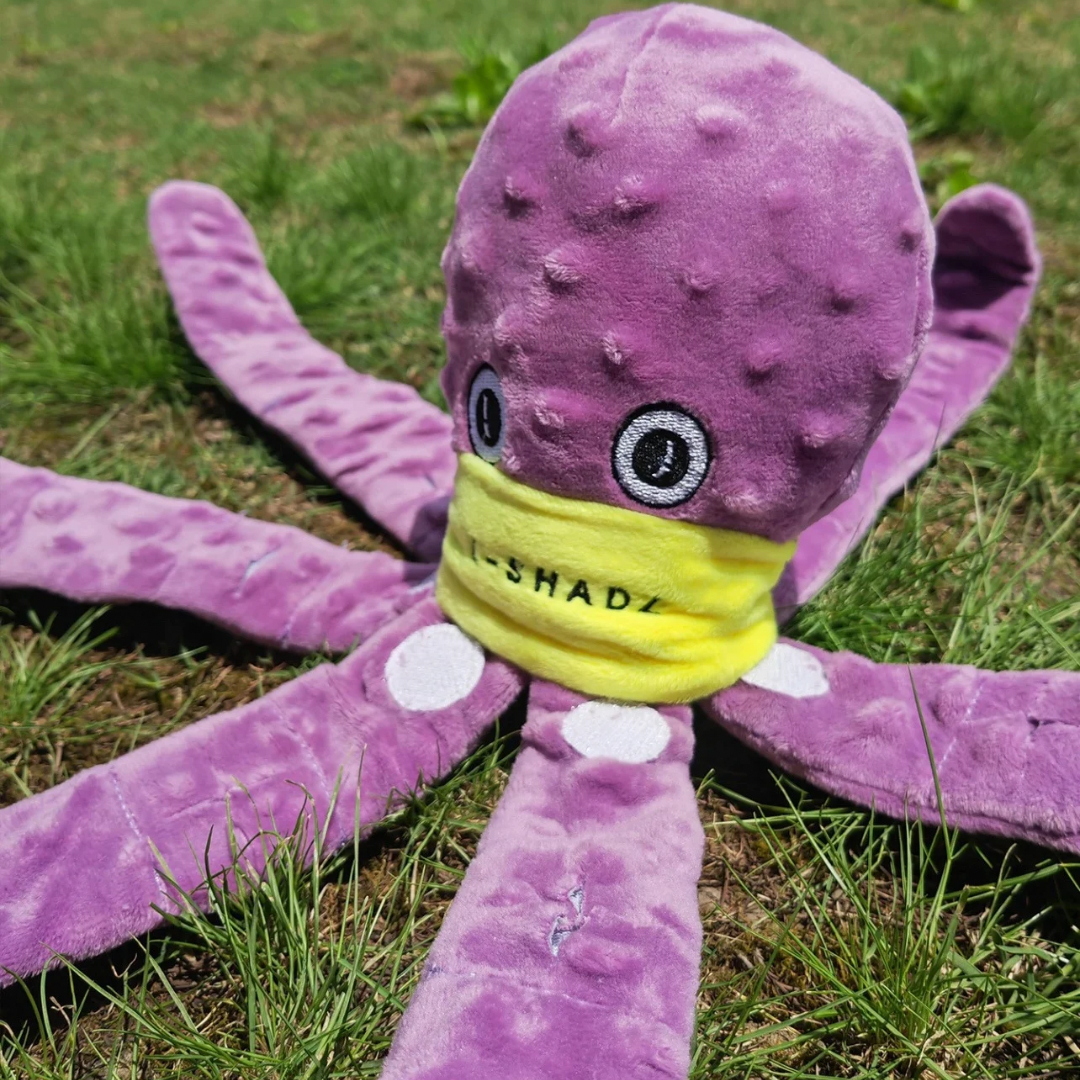 OctoFun Squeaky™ – Das 4 in 1 Spielzeug!