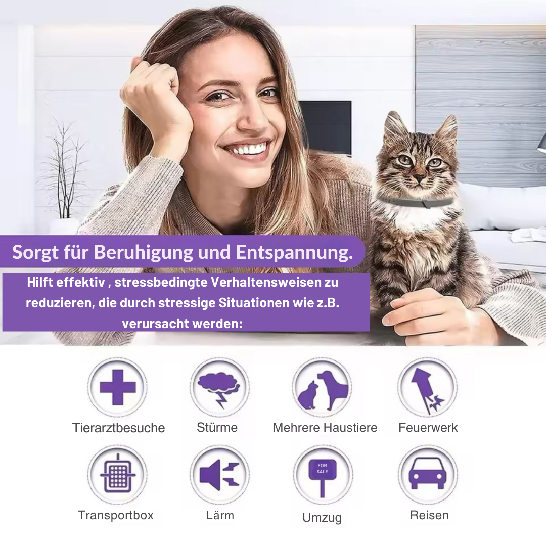 Calmify™ - Schützt deine Möbel 30 Tage lang!