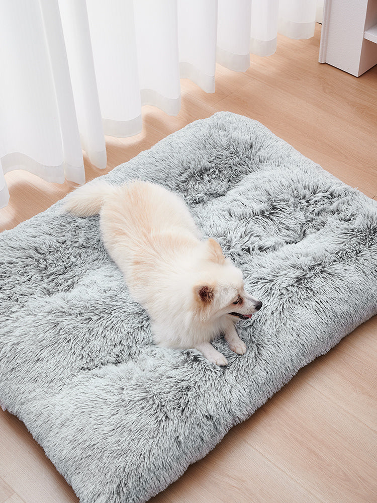PawLux™
