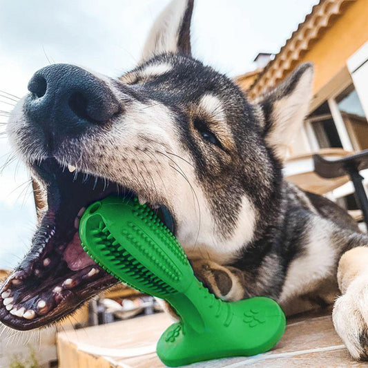 ChewBloom™