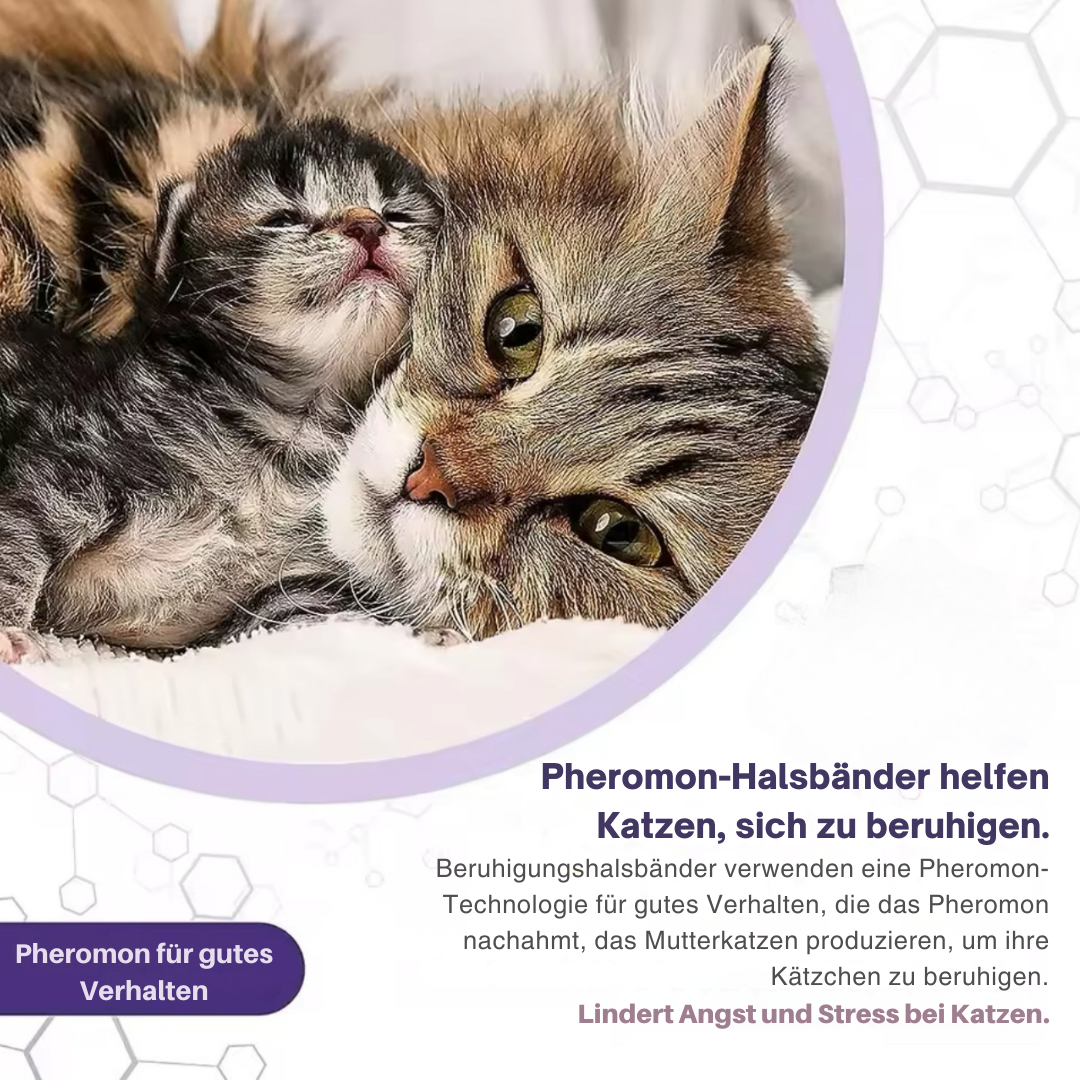 Calmify™ - Schützt deine Möbel 30 Tage lang!