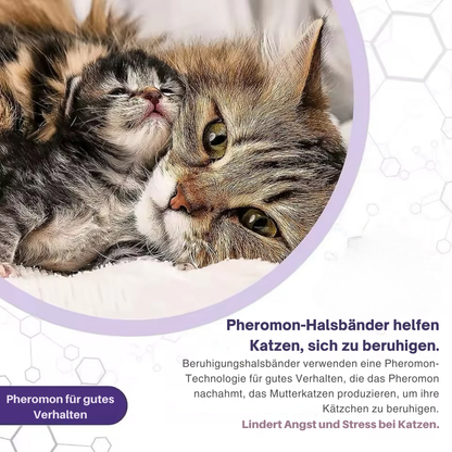 Calmify™ - Schützt deine Möbel 30 Tage lang!