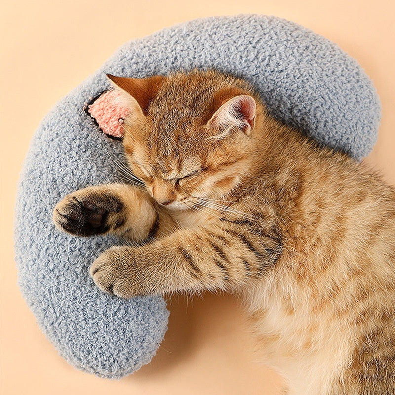 Snooze Cloud