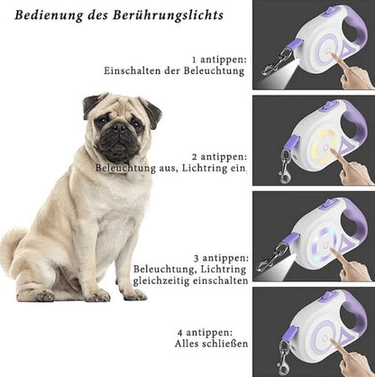 Premium LED Hundeleine™ – Mehr Sichtbarkeit, mehr Sicherheit!