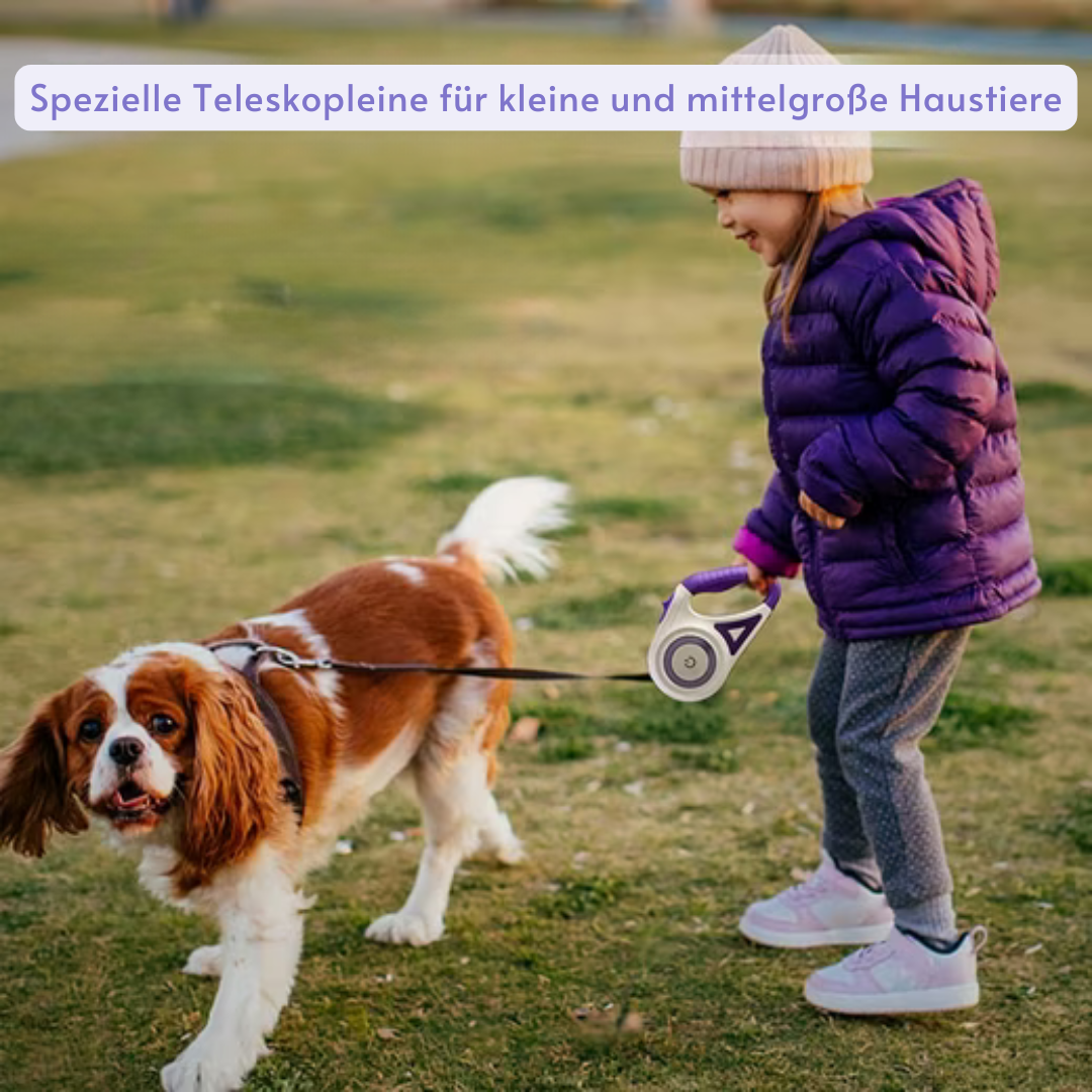 Premium LED Hundeleine™ – Mehr Sichtbarkeit, mehr Sicherheit!