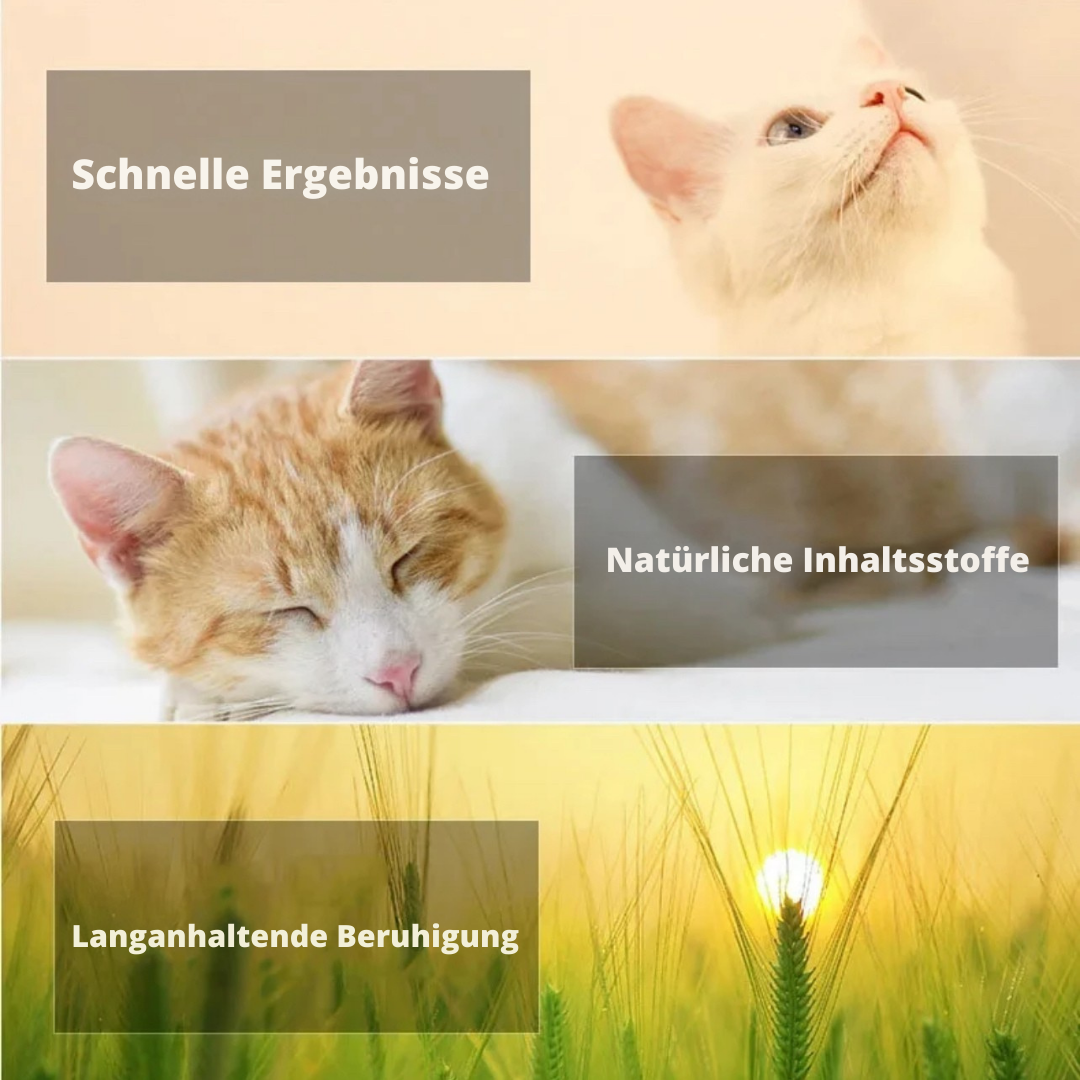 Calmify™ - Schützt deine Möbel 30 Tage lang!