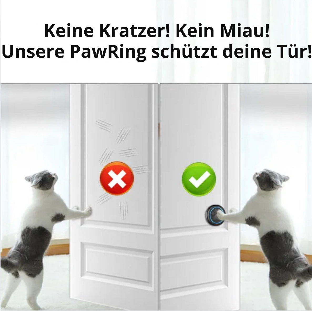 PawRing