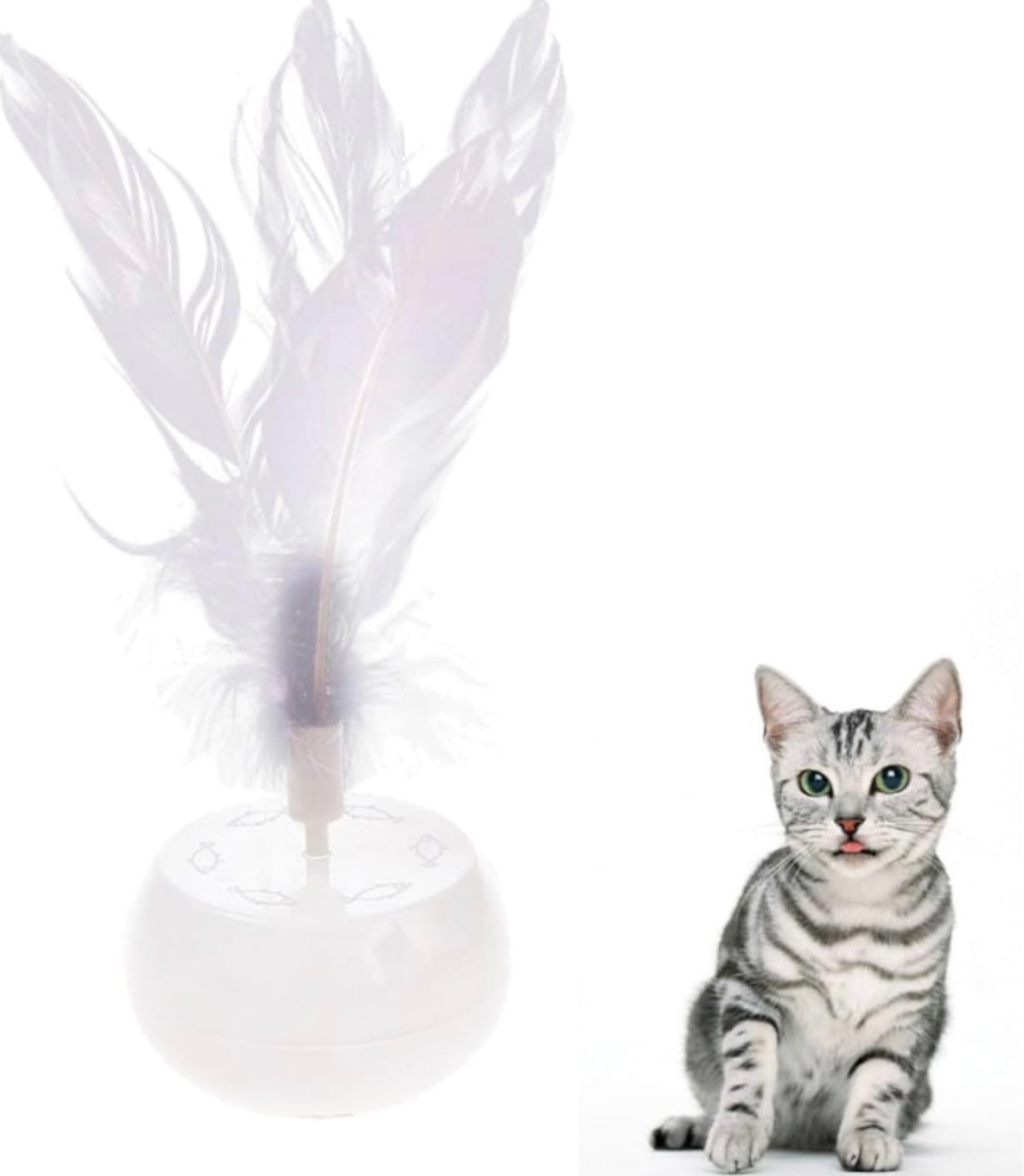 KittyTumbler (NEU)