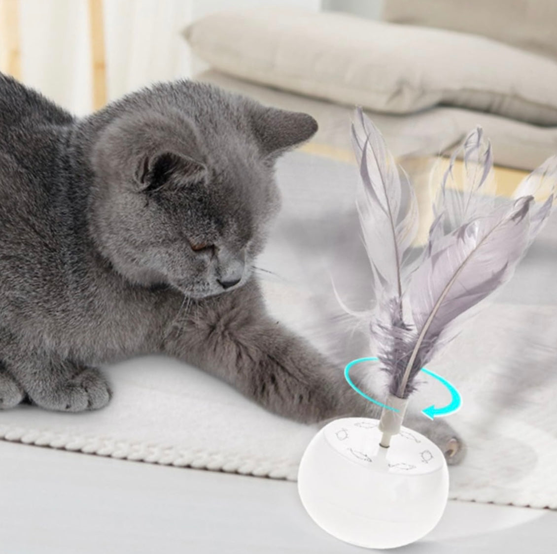 KittyTumbler (NEU)