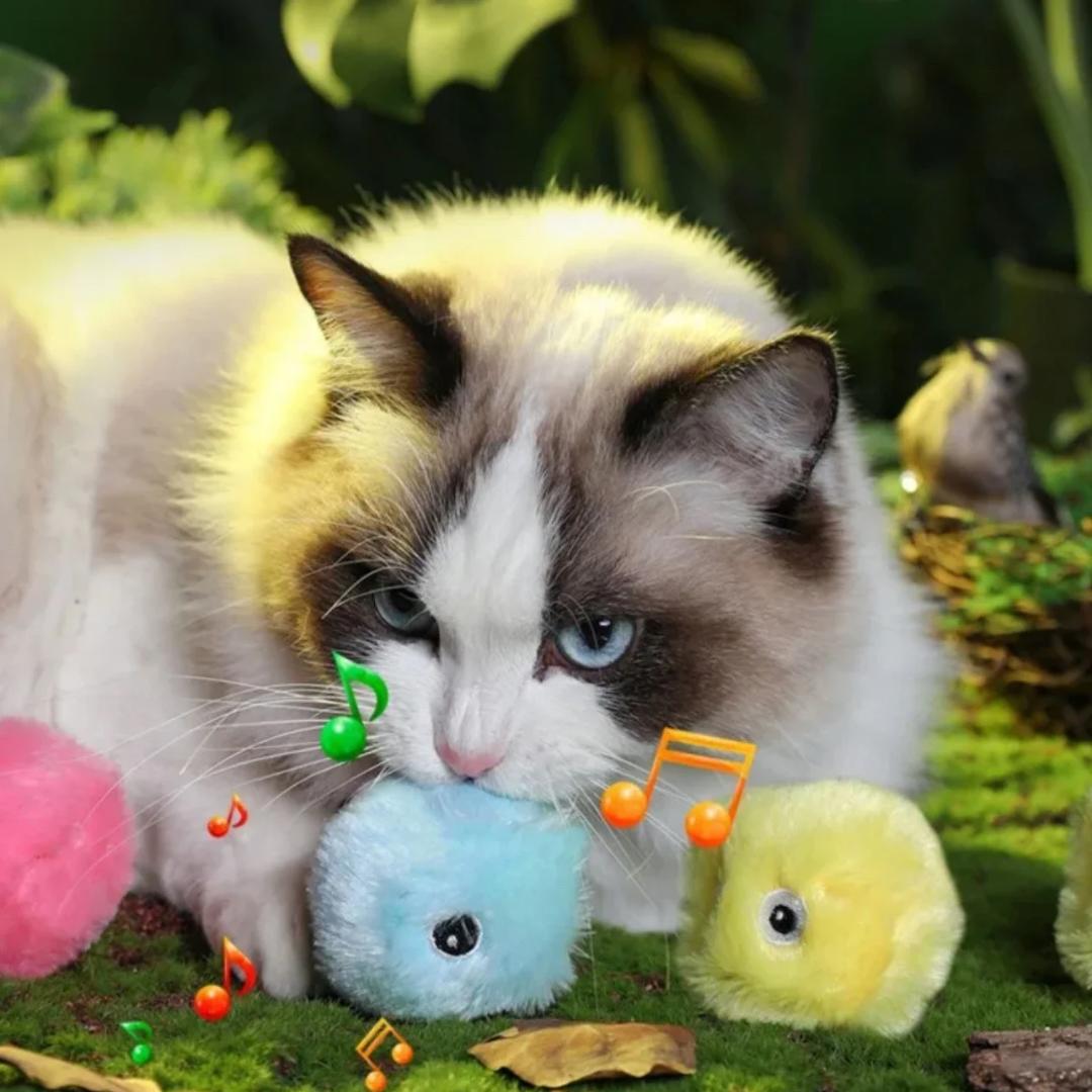 CurioBall - Ultimativer Duftgenuss 🐱