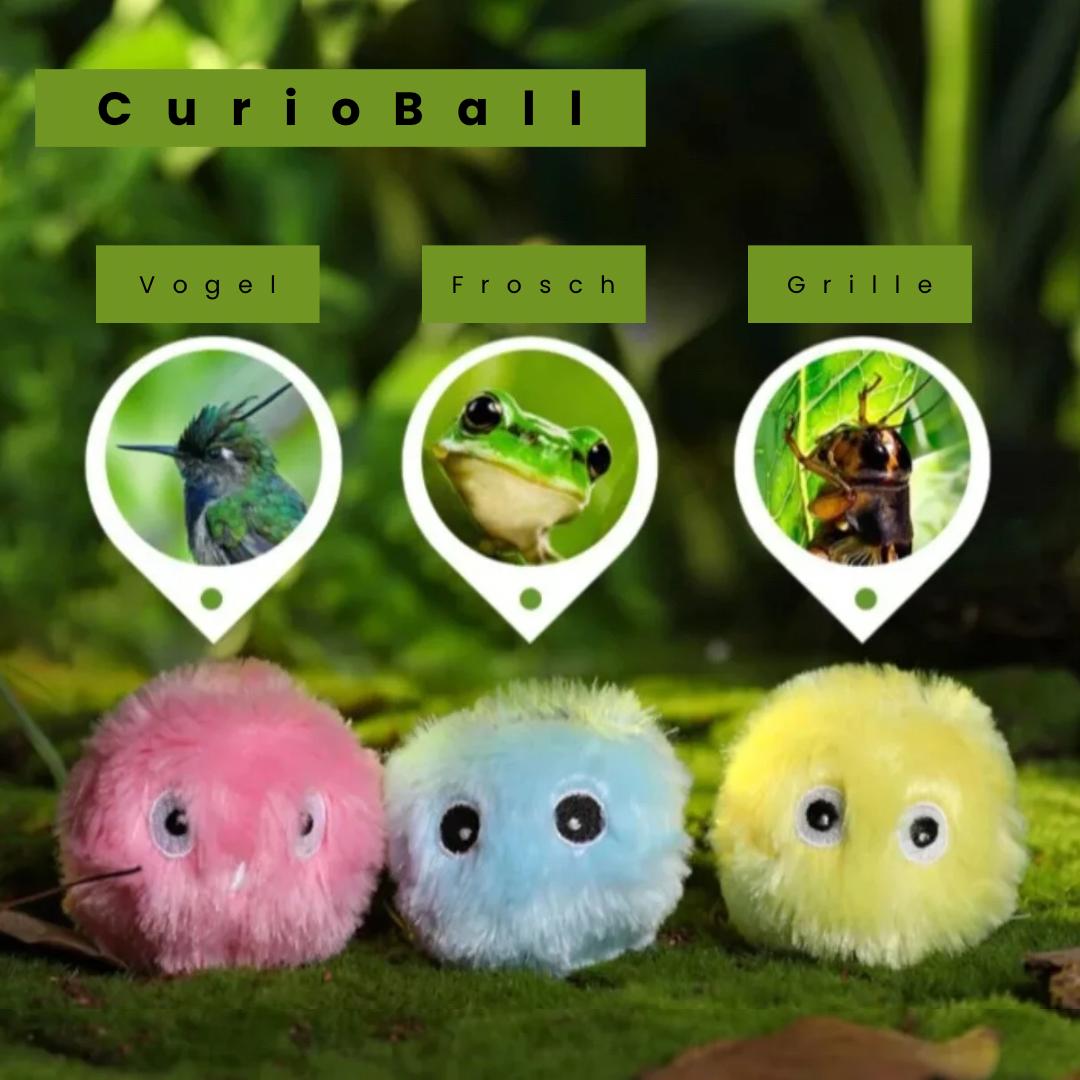 CurioBall - Ultimativer Duftgenuss 🐱