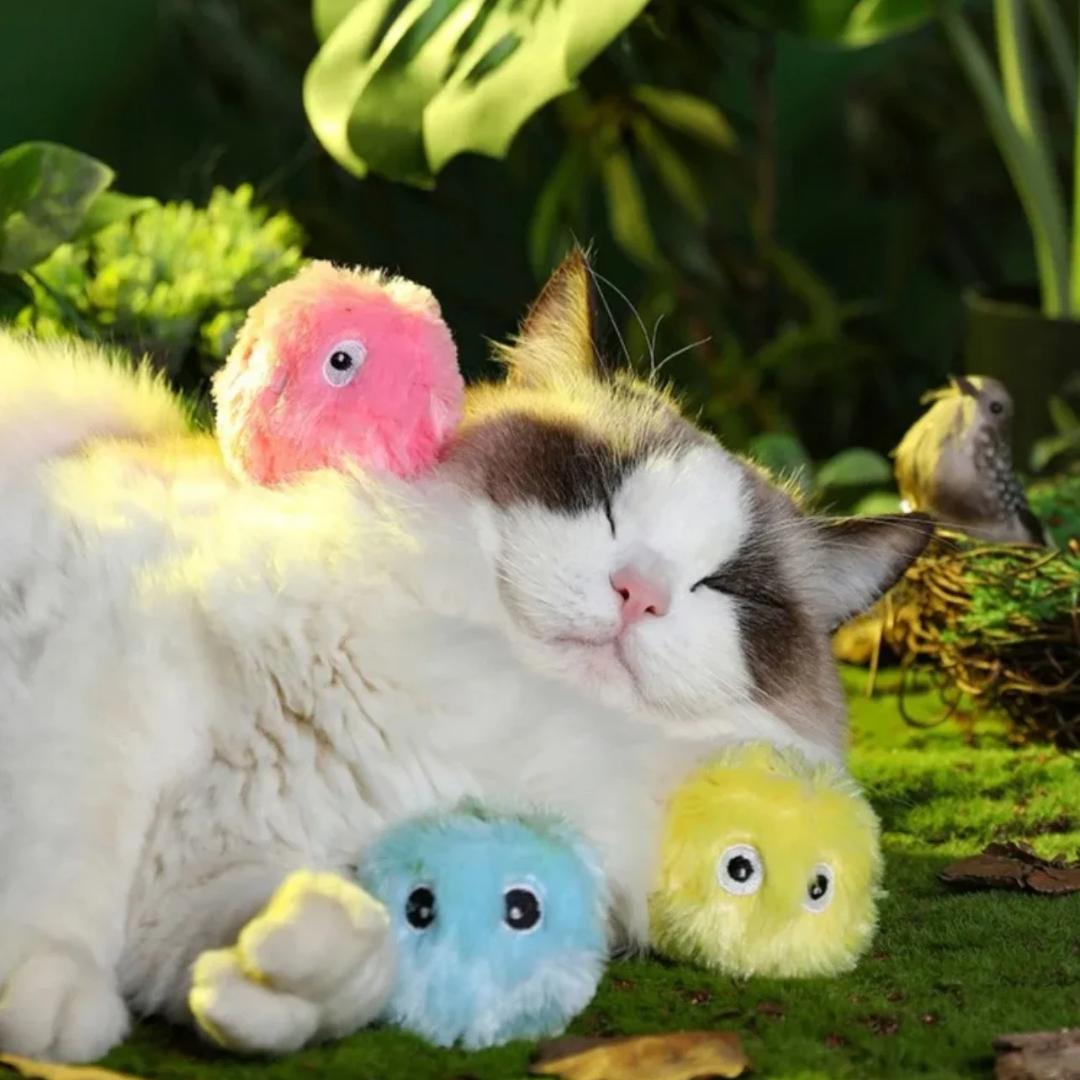 CurioBall - Ultimativer Duftgenuss 🐱