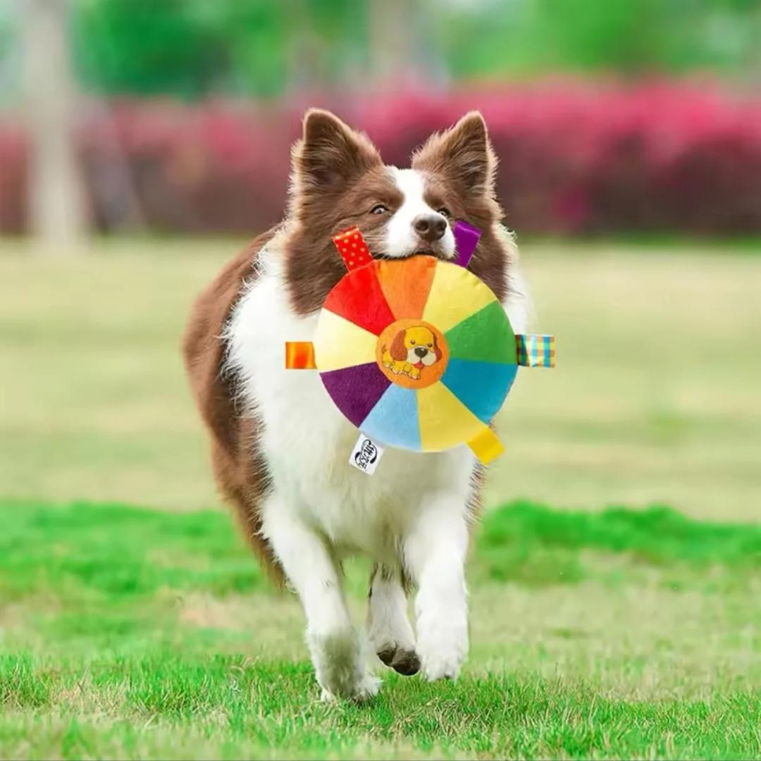 PawFrisbee - Interaktives Spielzeug für aktive Hunde!