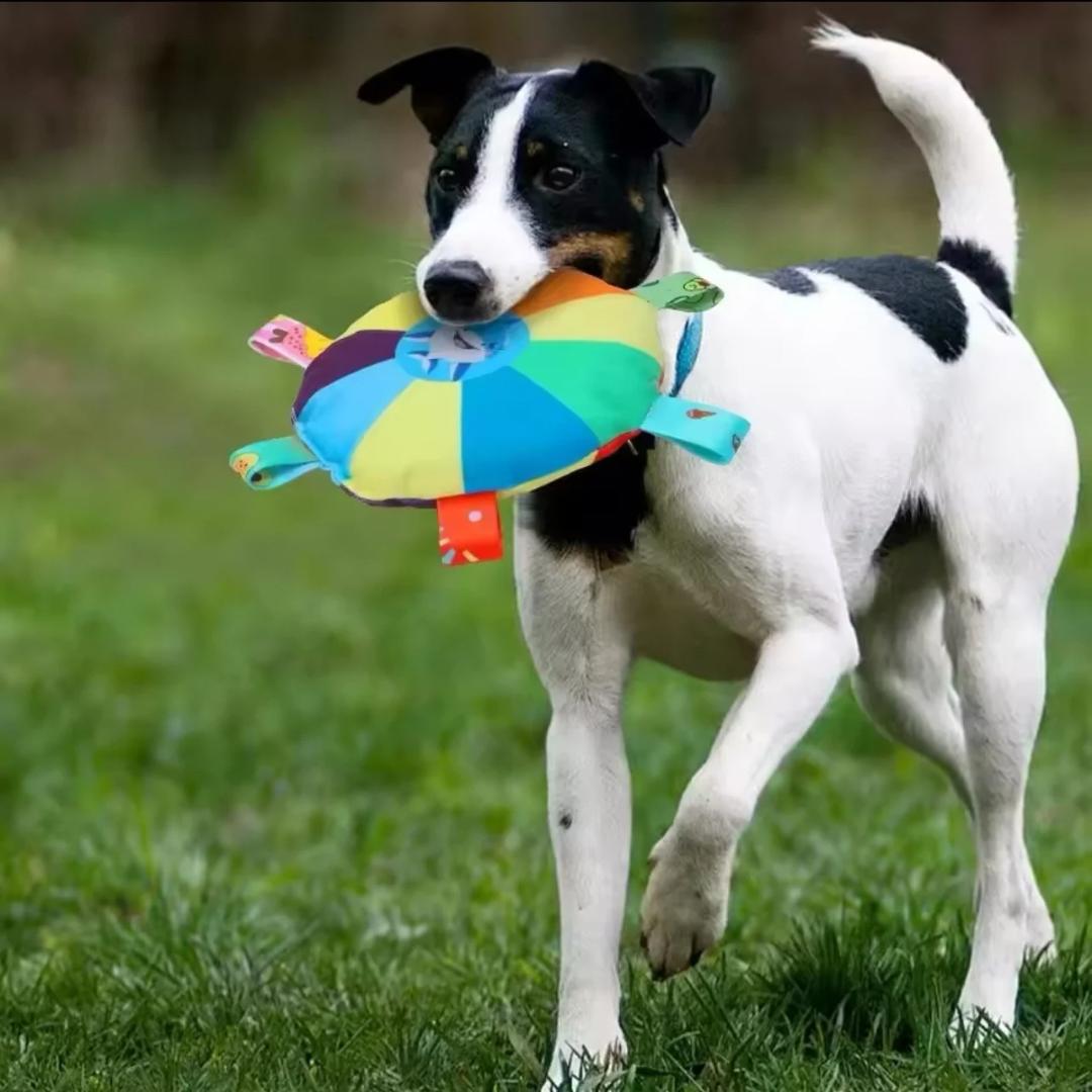 PawFrisbee - Interaktives Spielzeug für aktive Hunde!