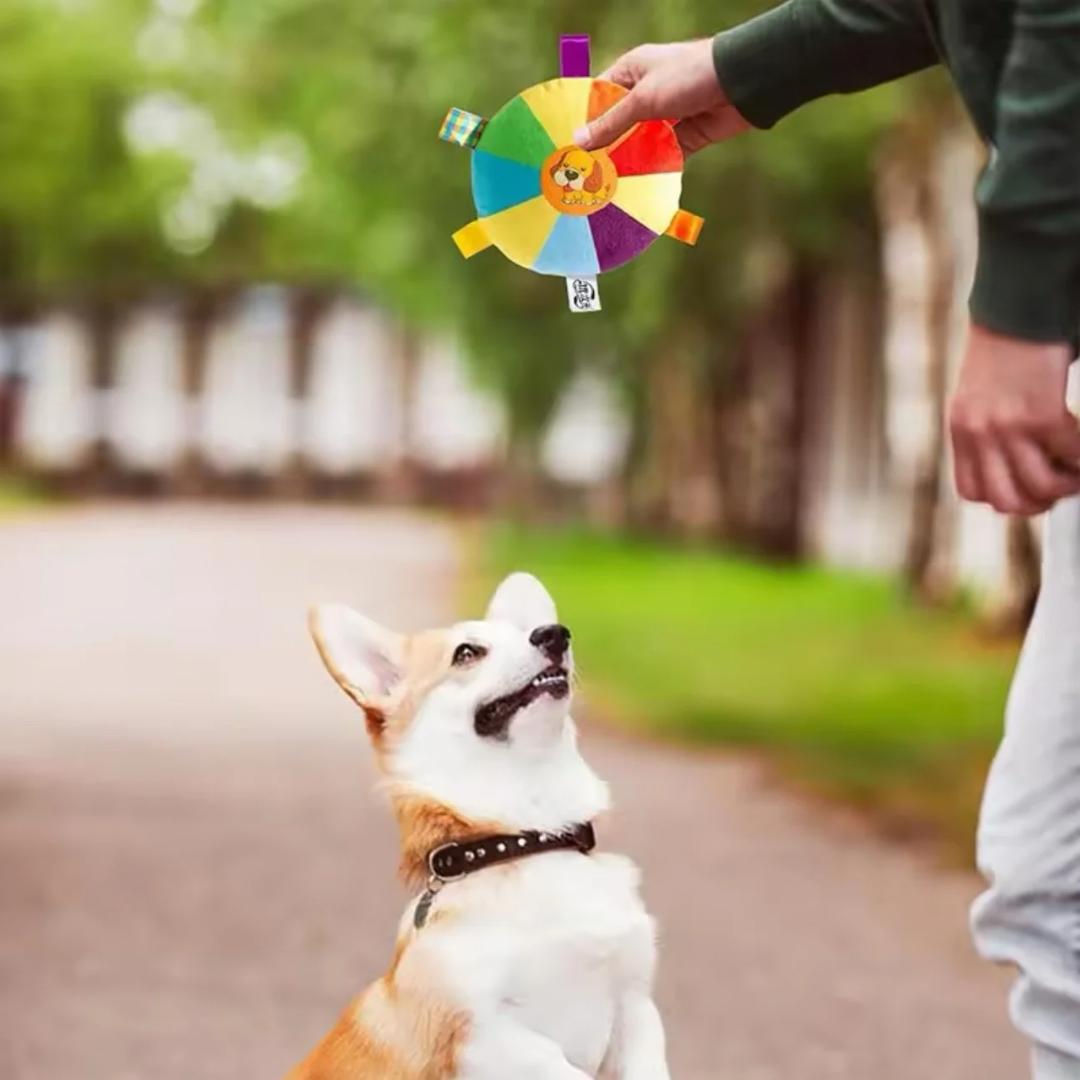 PawFrisbee - Interaktives Spielzeug für aktive Hunde!