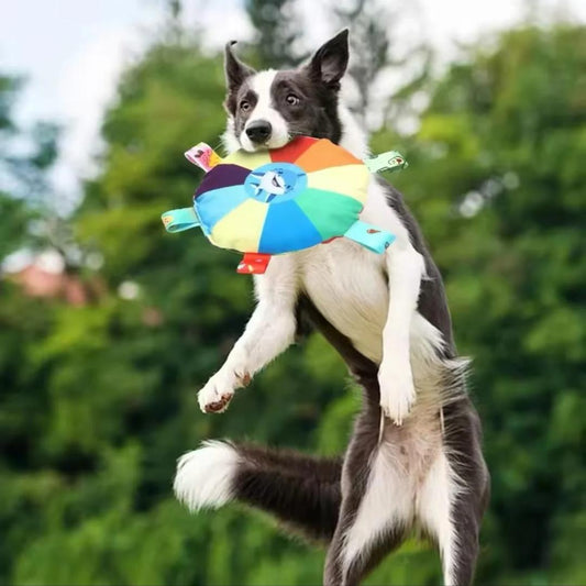 PawFrisbee - Interaktives Spielzeug für aktive Hunde!