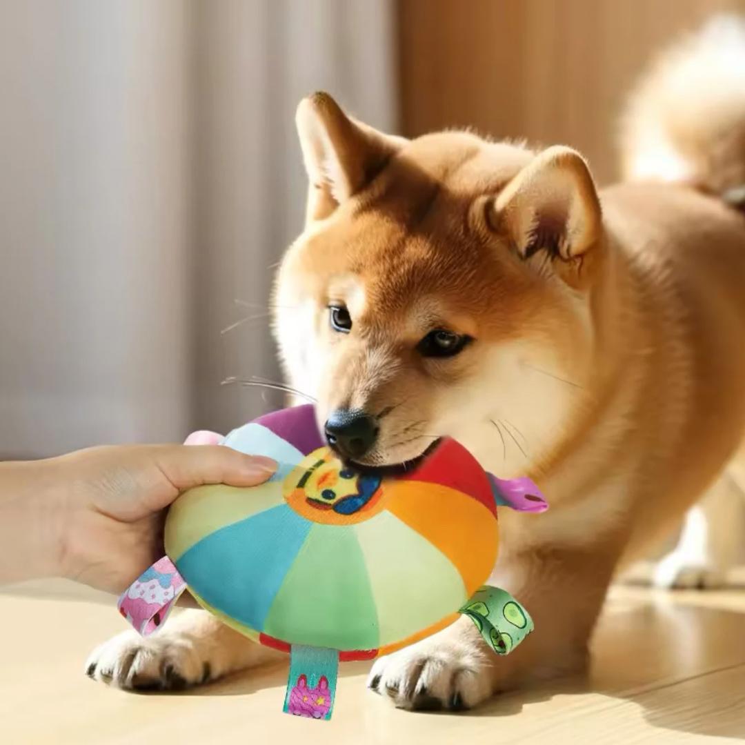 PawFrisbee - Interaktives Spielzeug für aktive Hunde!