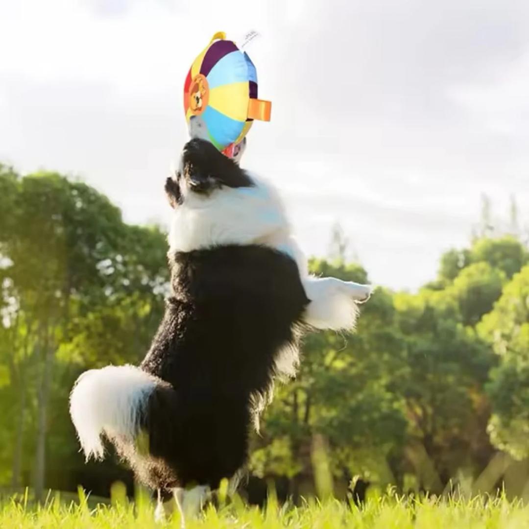 PawFrisbee - Interaktives Spielzeug für aktive Hunde!