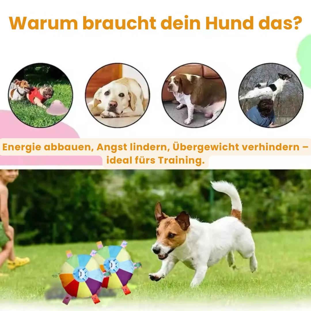 PawFrisbee - Interaktives Spielzeug für aktive Hunde!