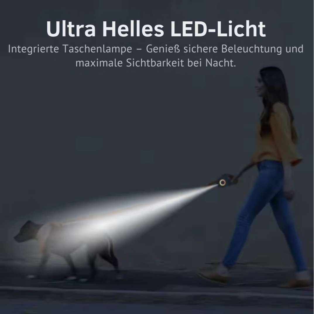 Premium LED Hundeleine™ – Mehr Sichtbarkeit, mehr Sicherheit!