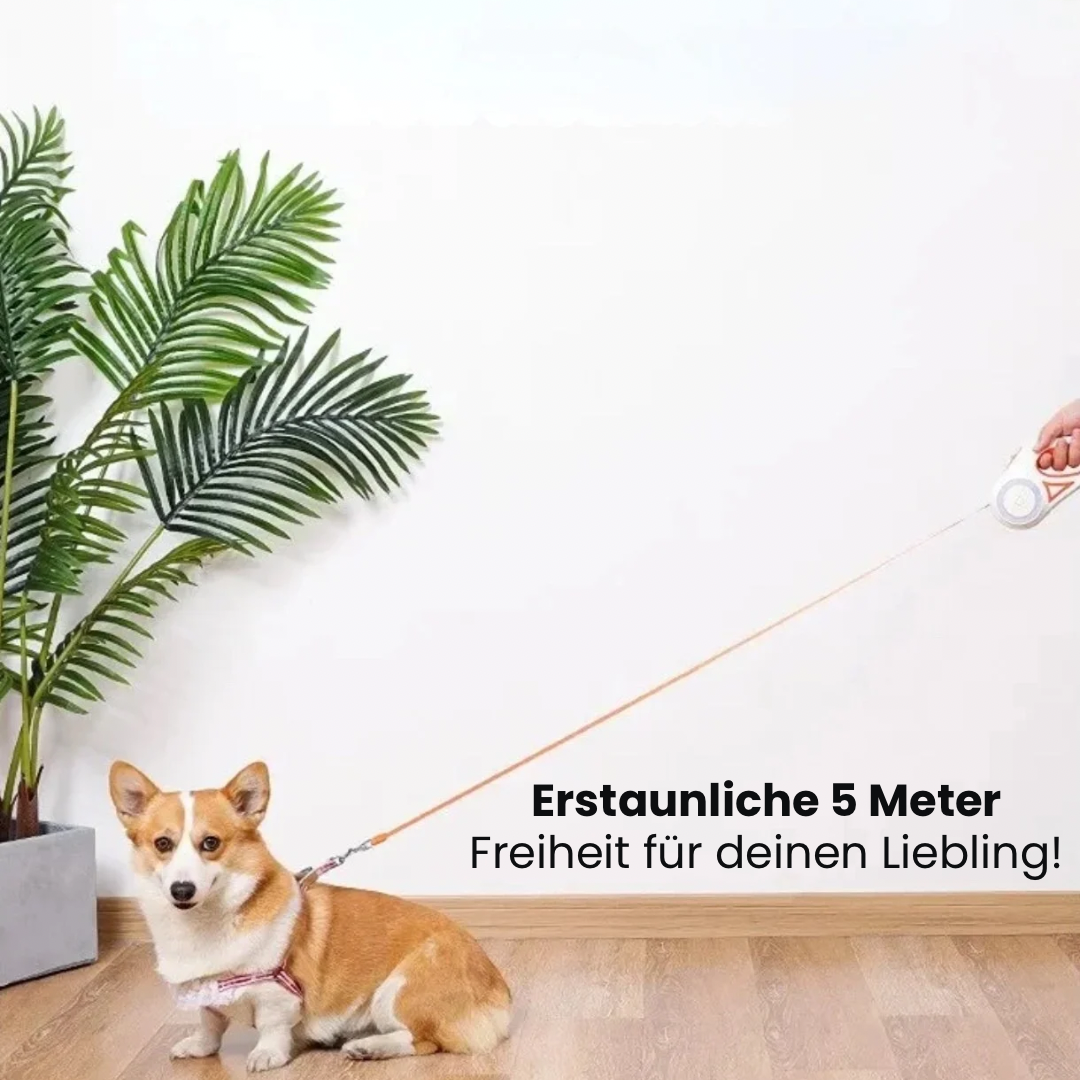 Premium LED Hundeleine™ – Mehr Sichtbarkeit, mehr Sicherheit!