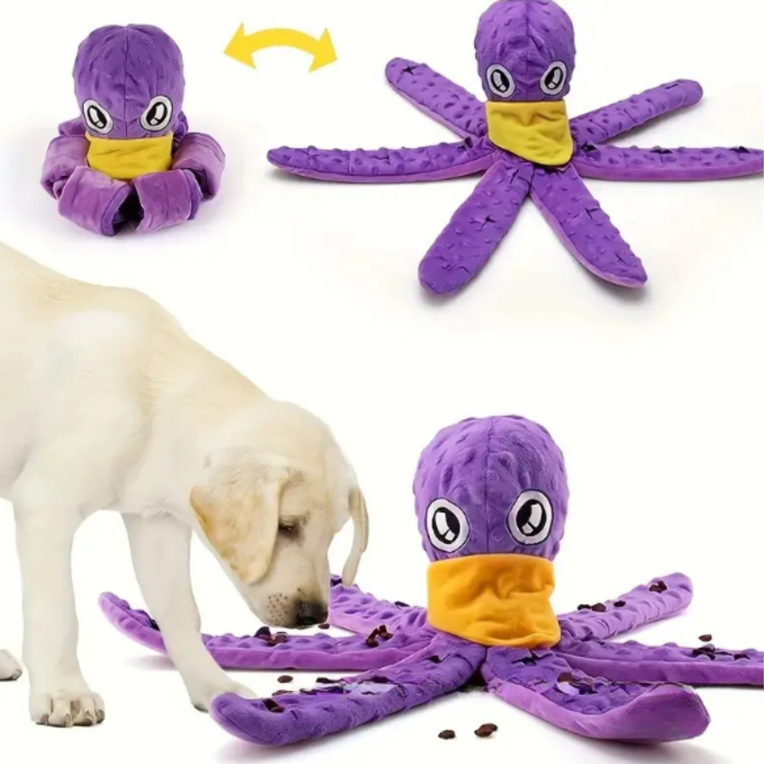 OctoFun Squeaky™ – Das 4 in 1 Spielzeug!