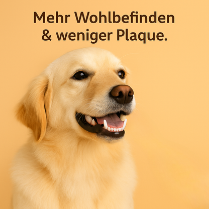 PawBrush™ - 3D DentalCare für frischen Atem