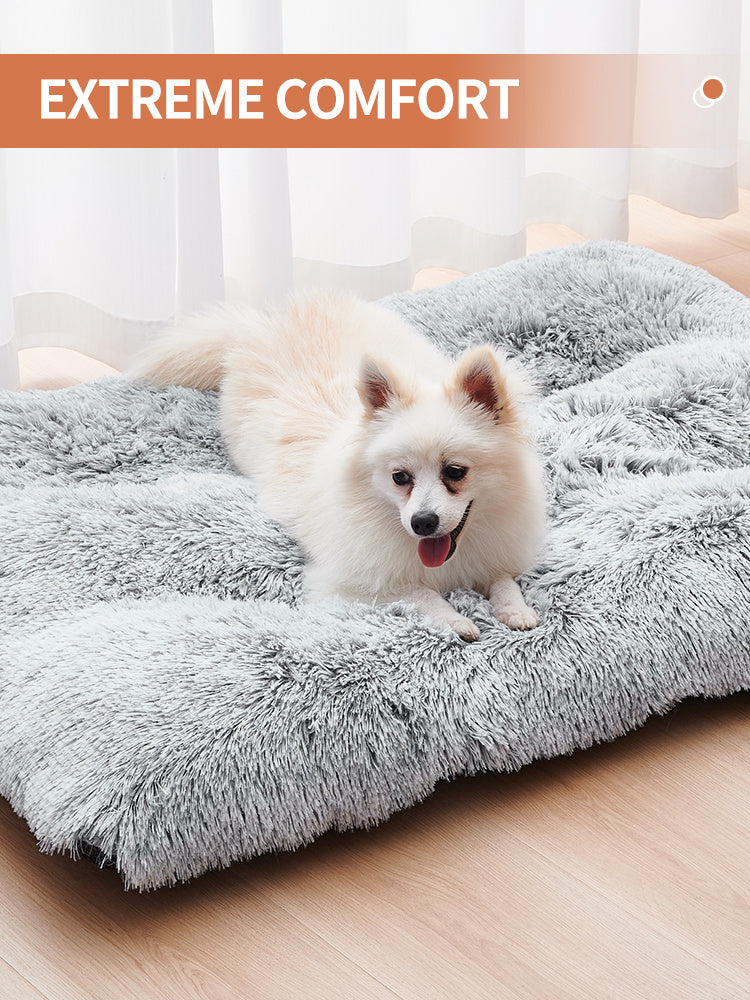 PawLux™