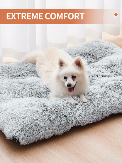 PawLux™
