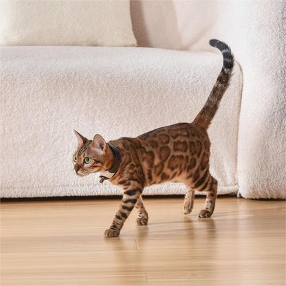 LumiPaw™ - Deluxe Laser Collar